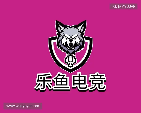 介绍乐鱼电竞